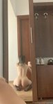 520x1024_31b2130effd87b80f58d8a0ce0fa1011.jpg