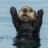 Kiel_